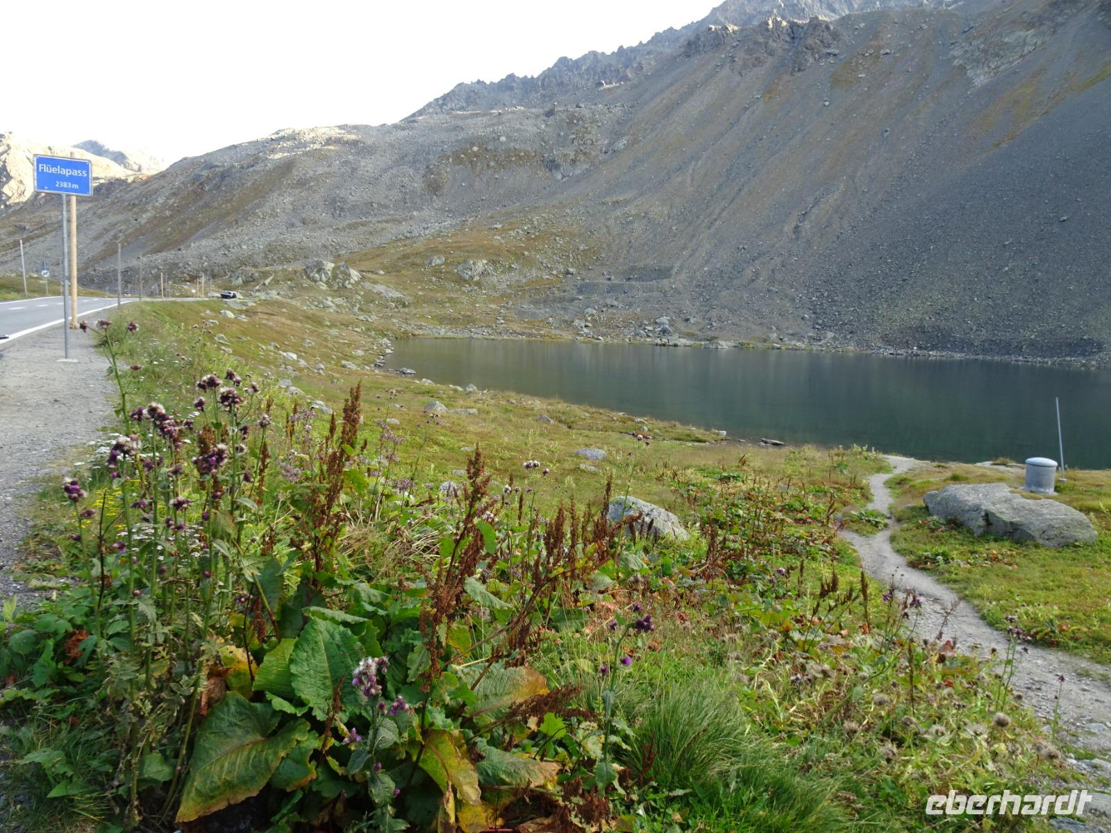 Flüela-Pass (2389m üM) &ndash; &copy; Hartwig Köllner (Eberhardt TRAVEL)