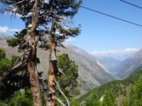 Blick ins Mattertal &ndash; &copy; Hartwig Köllner (Eberhardt TRAVEL)