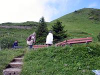 im Alpengarten &ndash; &copy; Gisela Preuß (Eberhardt TRAVEL)