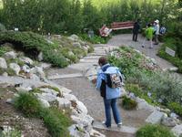 im Alpengarten &ndash; &copy; Gisela Preuß (Eberhardt TRAVEL)