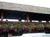 Luzern Stadtrundgang Kapellbrücke &ndash; &copy; Gisela Preuß (Eberhardt TRAVEL)
