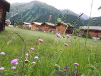 Oberwald &ndash; &copy; Annette Weise (Eberhardt TRAVEL)