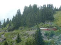 Schynige Platte &ndash; &copy; Kerstin Hugel (Eberhardt TRAVEL)