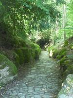 Küsnacht Hohle Gasse &ndash; &copy; Kerstin Hugel (Eberhardt TRAVEL)