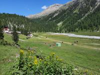 Val Roseg  &ndash; &copy; Katrin Deutschbein (Eberhardt TRAVEL)