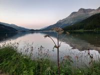 Abendstimmung am Silvaplaner See &ndash; &copy; Katrin Deutschbein (Eberhardt TRAVEL)