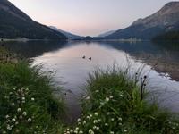 Abendstimmung am Silvaplaner See &ndash; &copy; Katrin Deutschbein (Eberhardt TRAVEL)