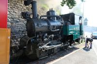 Ein Edelross &ndash; &copy; Andreas Kunzmann (Eberhardt TRAVEL)