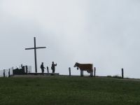 059 auf der Rigi &ndash; &copy; Annette Weise (Eberhardt TRAVEL)
