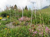 112 Allmendhubel &ndash; &copy; Annette Weise (Eberhardt TRAVEL)