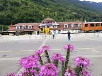 Abschied von Interlaken &ndash; &copy; Gisela Gerlach (Eberhardt TRAVEL)