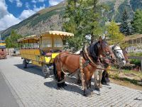 Pferdekutschfahrt &ndash; &copy; Steffen Mucke (Eberhardt TRAVEL)