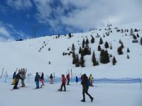 103 Arosa - Fahrt auf das Weisshorn &ndash; &copy; Annette Weise (Eberhardt TRAVEL)