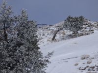 298 Auf der Rigi &ndash; &copy; Annette Weise (Eberhardt TRAVEL)