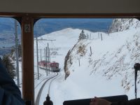 308  Rückfahrt von der Rigi - &ndash; &copy; Annette Weise (Eberhardt TRAVEL)