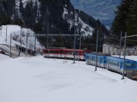309  Rückfahrt von der Rigi - &ndash; &copy; Annette Weise (Eberhardt TRAVEL)