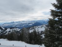 314  Rückfahrt von der Rigi - &ndash; &copy; Annette Weise (Eberhardt TRAVEL)