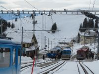 318  Rückfahrt von der Rigi - &ndash; &copy; Annette Weise (Eberhardt TRAVEL)