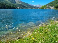 St. Moritzersee