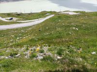 Berninapass &ndash; &copy; Gisela Gerlach (Eberhardt TRAVEL)