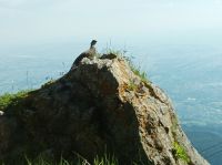 IMG_20220617_084258.jpg &ndash; &copy; Gisela Gerlach (Eberhardt TRAVEL)
