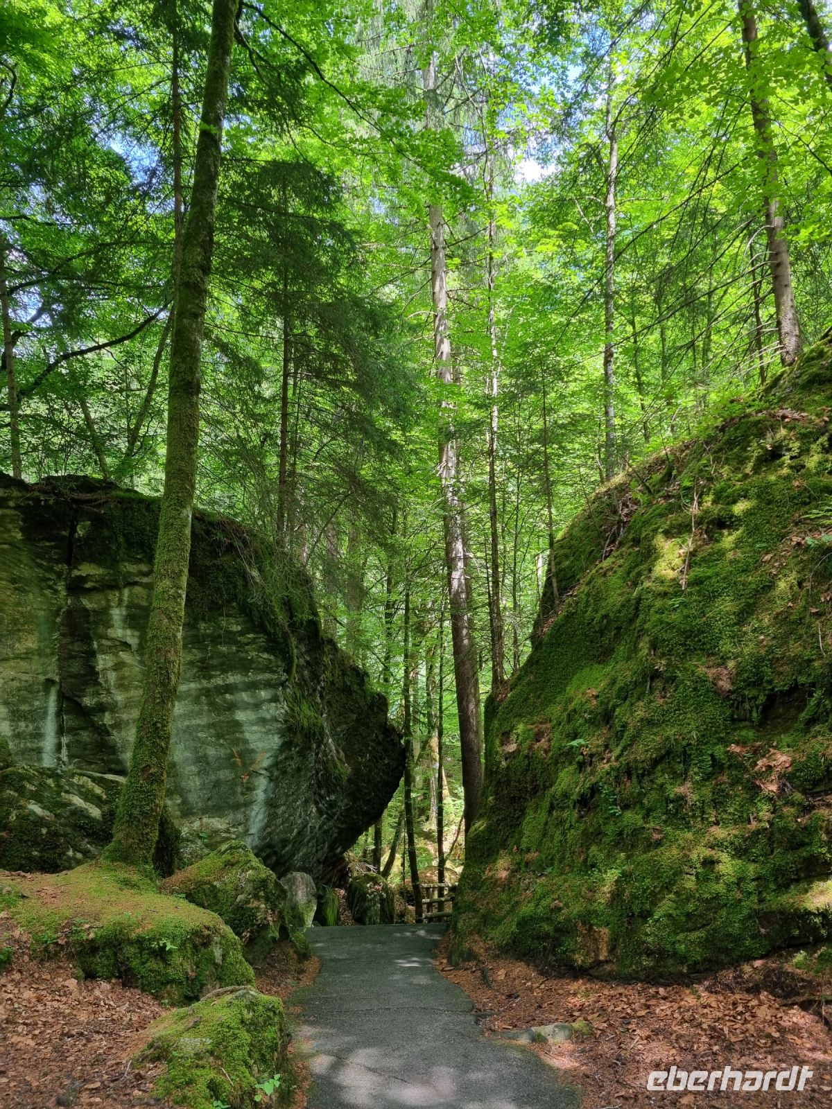 Naturpark Blausee &ndash; &copy; Katrin Deutschbein (Eberhardt TRAVEL)