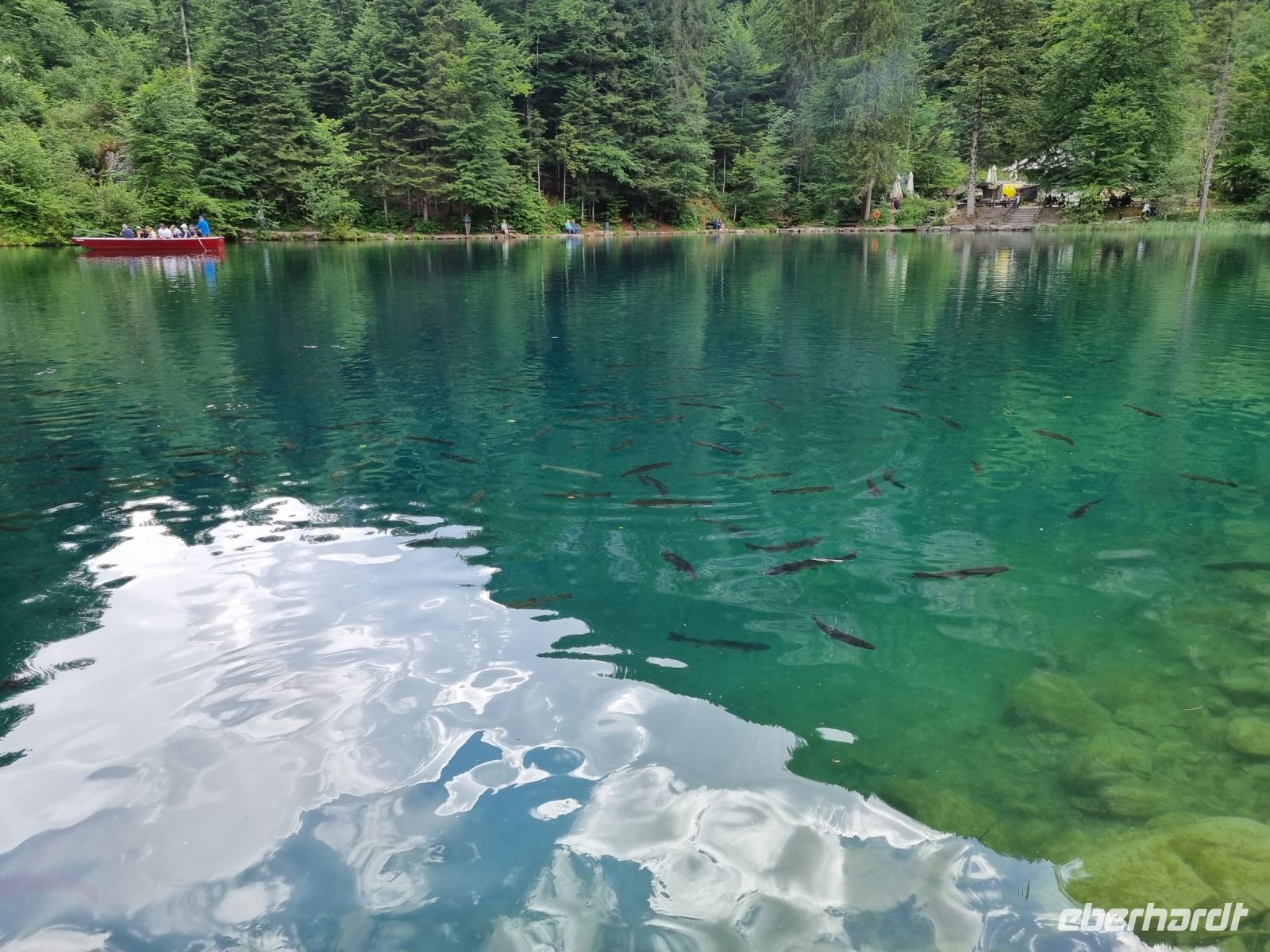 Naturpark Blausee &ndash; &copy; Katrin Deutschbein (Eberhardt TRAVEL)