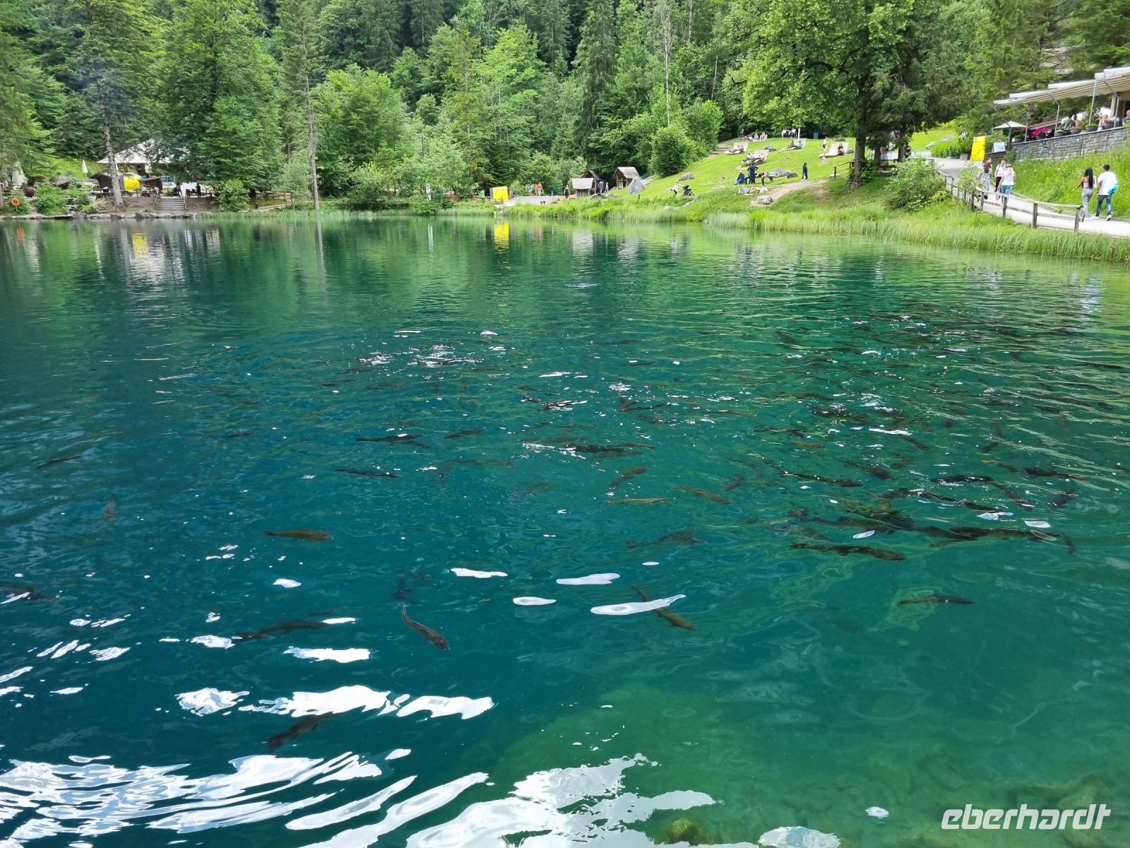 Naturpark Blausee &ndash; &copy; Katrin Deutschbein (Eberhardt TRAVEL)