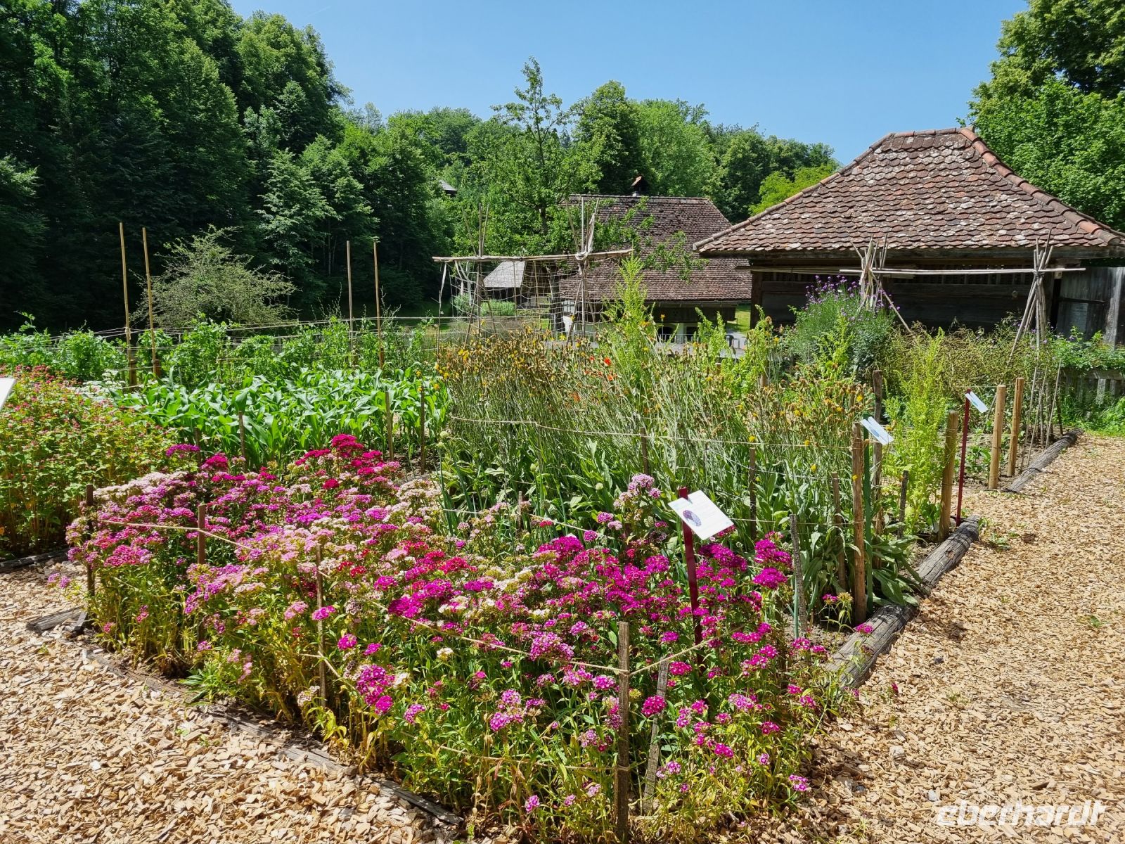 Freilichtmuseum Ballenberg (Samengarten) &ndash; &copy; Katrin Deutschbein (Eberhardt TRAVEL)