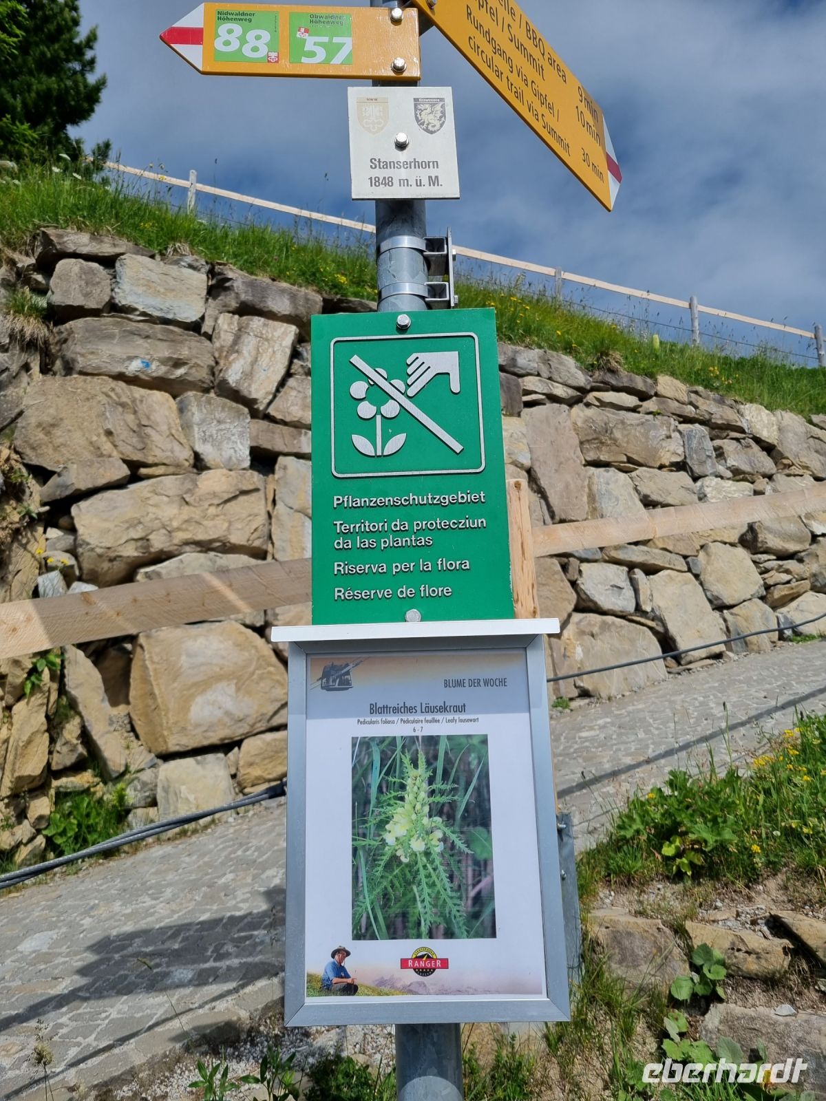 Stanserhorn - Rangerführung mit Edgar... &ndash; &copy; Katrin Deutschbein (Eberhardt TRAVEL)