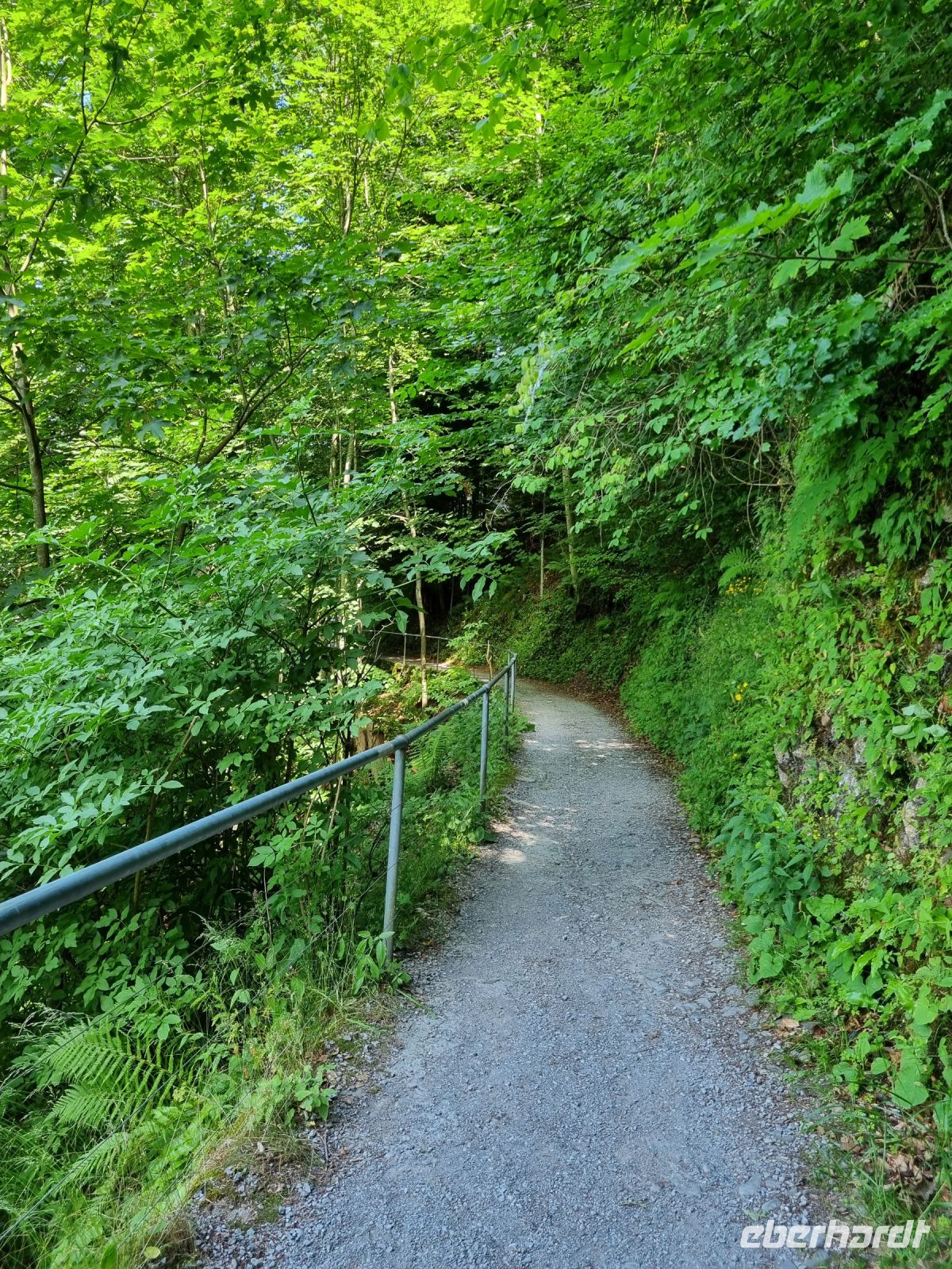 Bürgenstock - Felsenweg &ndash; &copy; Katrin Deutschbein (Eberhardt TRAVEL)