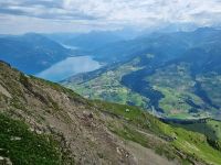 Niesen &ndash; &copy; Katrin Deutschbein (Eberhardt TRAVEL)