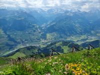 Niesen &ndash; &copy; Katrin Deutschbein (Eberhardt TRAVEL)
