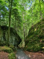 Naturpark Blausee &ndash; &copy; Katrin Deutschbein (Eberhardt TRAVEL)