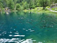 Naturpark Blausee &ndash; &copy; Katrin Deutschbein (Eberhardt TRAVEL)
