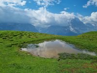 auf dem First... - Wanderung zum Bachalpsee &ndash; &copy; Katrin Deutschbein (Eberhardt TRAVEL)