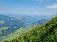 Stanserhorn - Rangerführung mit Edgar... &ndash; &copy; Katrin Deutschbein (Eberhardt TRAVEL)