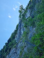 Bürgenstock - Felsenweg (Hammetschwand Lift) &ndash; &copy; Katrin Deutschbein (Eberhardt TRAVEL)