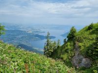 Rigi-Kulm... &ndash; &copy; Katrin Deutschbein (Eberhardt TRAVEL)
