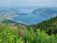 Rigi-Kulm...