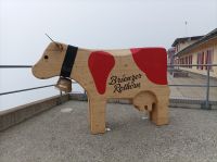Auf dem Brienzer Rothorn &ndash; &copy; Gisela Gerlach (Eberhardt TRAVEL)