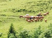 Es geht zurück nach Brienz &ndash; &copy; Gisela Gerlach (Eberhardt TRAVEL)