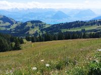IMG 20220703 143359 &ndash; &copy; Gisela Gerlach (Eberhardt TRAVEL)