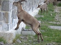 Pilatus Schweiz  &ndash; &copy; Sabine Letzybyll (Eberhardt TRAVEL)