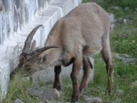 Pilatus Schweiz  &ndash; &copy; Sabine Letzybyll (Eberhardt TRAVEL)