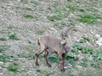 Pilatus Schweiz  &ndash; &copy; Sabine Letzybyll (Eberhardt TRAVEL)