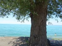 Bodensee &ndash; &copy; Sabine Letzybyll (Eberhardt TRAVEL)
