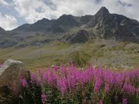 Auf dem Julierpass