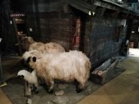 Im Matterhornmuseun  &ndash; &copy; Martina Pötschke (Eberhardt TRAVEL)