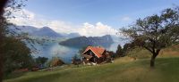 Fahrt auf die Rigi